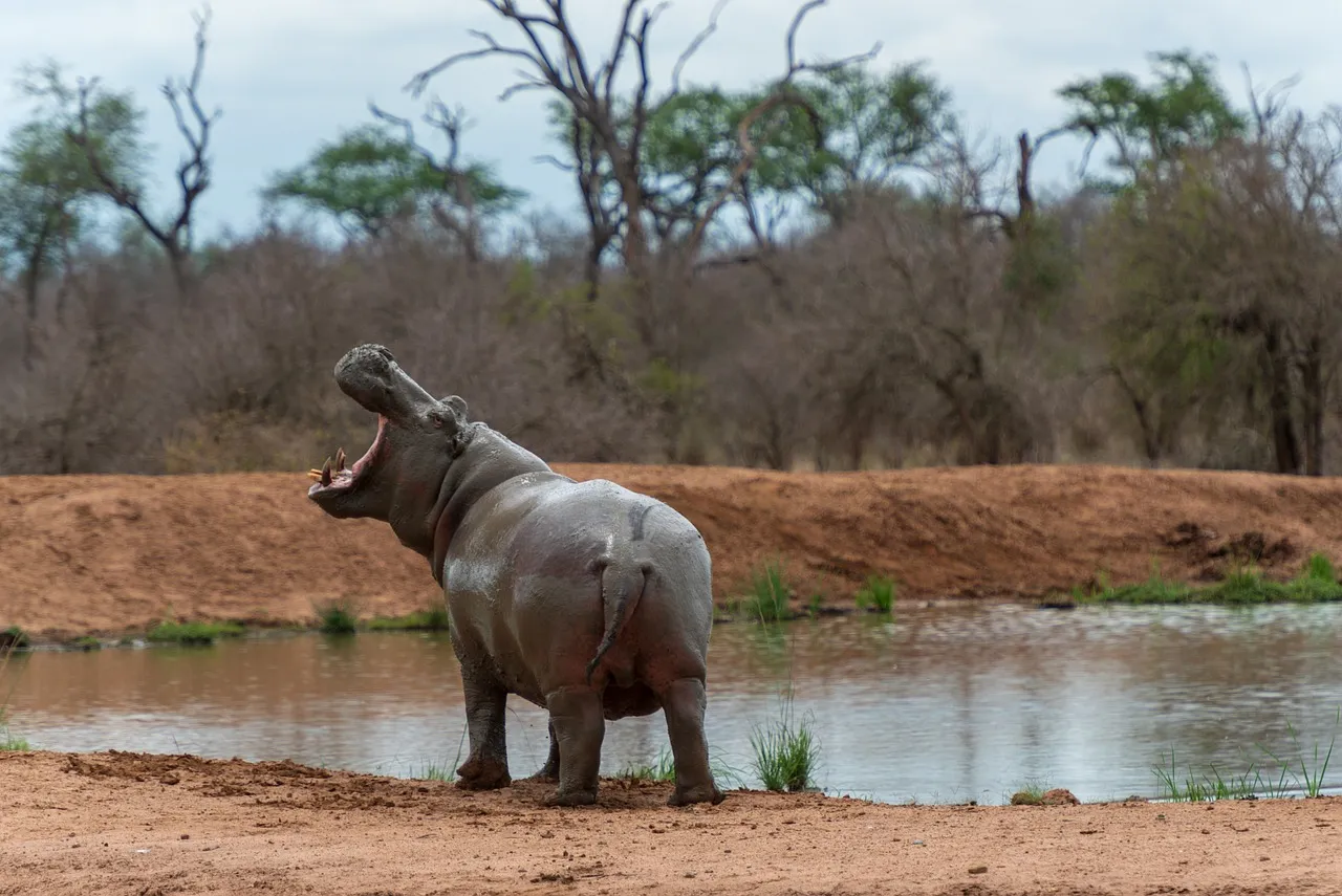 swaziland2_1